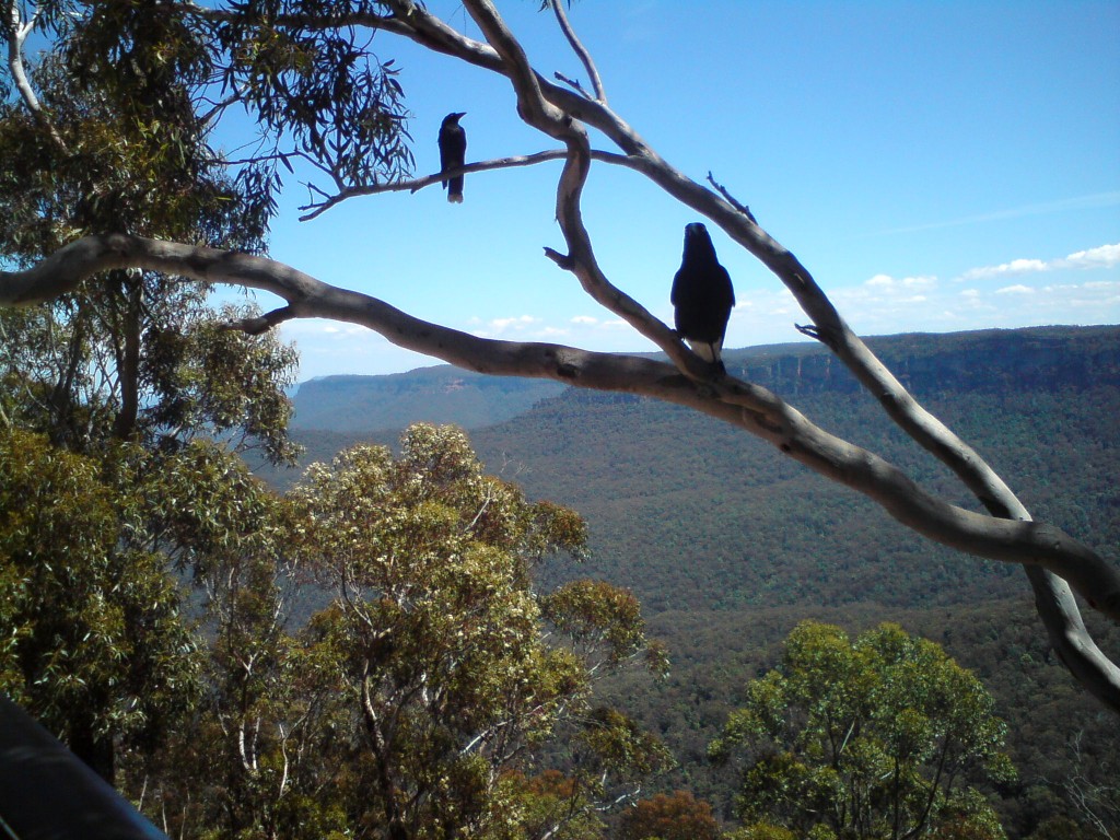 Blue Mountains